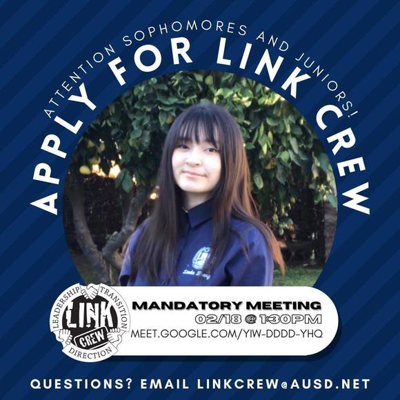 lindazhang737